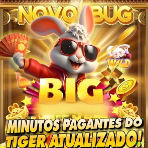 Plataforma zzwin